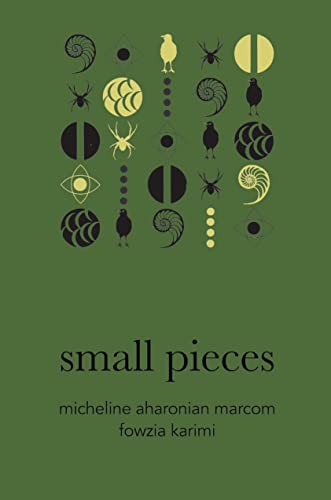 Small Pieces (American Literature)