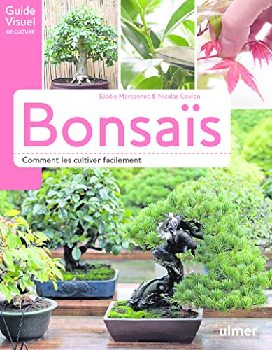 Bonsaïs - Comment les cultiver facilement von Ulmer