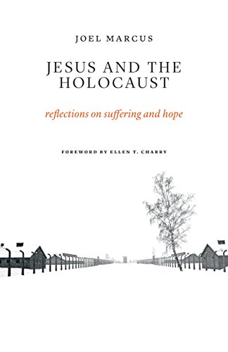 Jesus and the Holocaust: Reflections on Suffering and Hope Jesus and the Holocaust: Reflections on Suffering and Hope von William B. Eerdmans Publishing Company