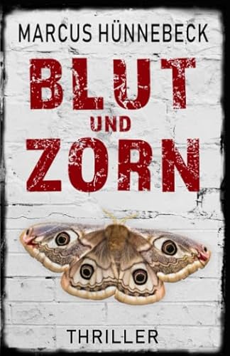 Blut und Zorn: Thriller (Drosten und Sommer)