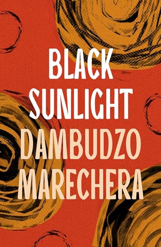 Black Sunlight: Dambudzo Marechera