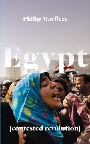 Egypt: Contested Revolution von Pluto Press (UK)