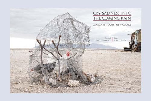 Cry Sadness into the Coming Rain von Steidl