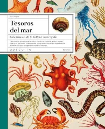 Tesoros del mar: Celebración de la belleza sumergida von Mosquito Books Barcelona