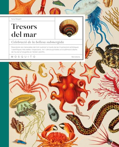 Tresors del mar: Celebració de la bellesa submergida von Mosquito Books Barcelona