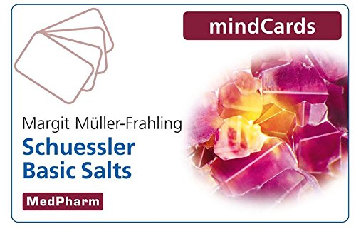 Schuessler Basic Salts, Kartenfächer von Wissenschaftliche Verlagsgesellschaft Stuttgart