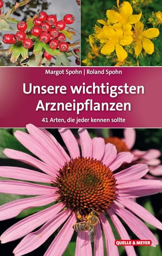 Unsere wichtigsten Arzneipflanzen: 41 Arten, die jeder kennen sollte