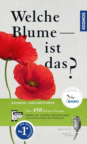 Welche Blume ist das?
