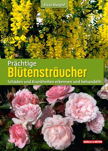 Prächtige Blütensträucher: Schäden und Krankheiten erkennen und behandeln