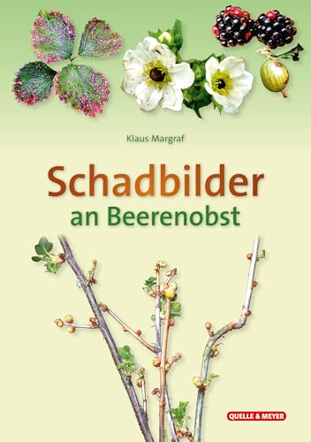 Schadbilder an Beerenobst (Quelle & Meyer Bestimmungskarten) von Quelle & Meyer