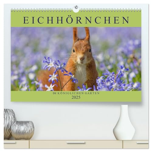 Eichhörnchen im Königlichen Garten (hochwertiger Premium Wandkalender 2025 DIN A2 quer), Kunstdruck in Hochglanz von CALVENDO