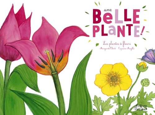 Ohé la Science - Une belle plante: Les plantes à fleurs