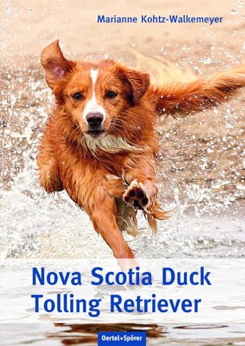 Nova Scotia Duck Tolling Retriever von Oertel Und Spoerer GmbH