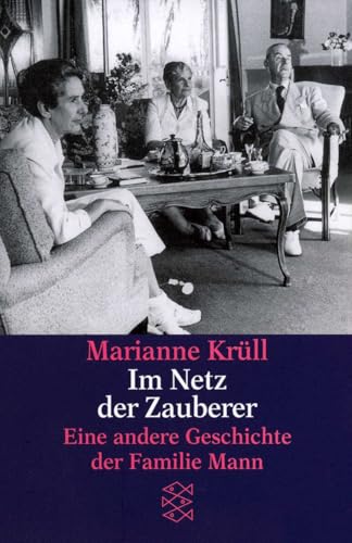 Im Netz der Zauberer: Eine andere Geschichte der Familie Mann