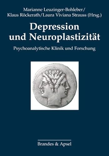 Depression und Neuroplastizität: Psychoanalytische Klinik und Forschung von Brandes & Apsel