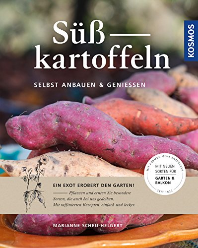 Süßkartoffeln: selbst anbauen und genießen