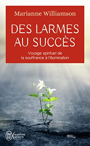 Des larmes au succès : Voyage spirituel de la souffrance à la lumière: Voyage spirituel de la souffrance à l'illumination