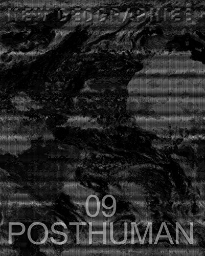 New Geographies 09: Posthuman von Actar