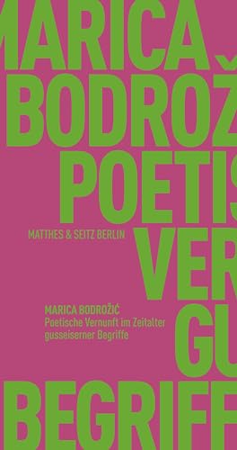 Poetische Vernunft im Zeitalter gusseiserner Begriffe (Fröhliche Wissenschaft)