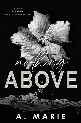 Nothing Above: A Dark Romance Standalone von Booktickets By AM