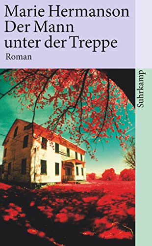 Der Mann unter der Treppe: Roman (suhrkamp taschenbuch)