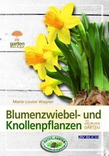 Blumenzwiebel- und Knollenpflanzen: Für naturnahe Gärten (Garten kurz & gut bei avBUCH)