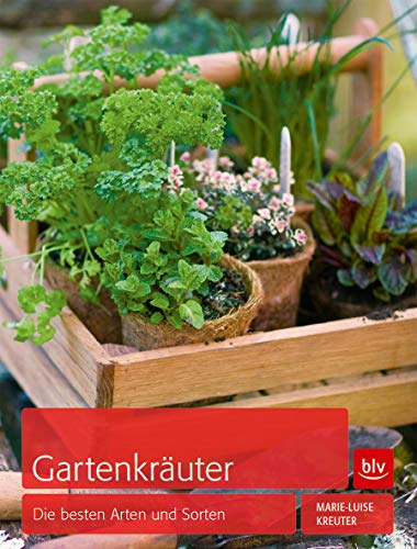Gartenkräuter: Die besten Arten und Sorten