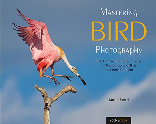 Mastering Bird Photography: The Art, Craft, and Technique of Photographing Birds and Their Behavior von Rocky Nook