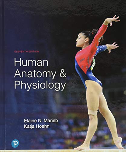 Human Anatomy & Physiology von Pearson