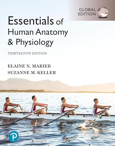 Essentials of Human Anatomy & Physiology, Global Edition von Pearson