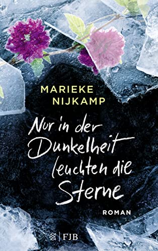 Nur in der Dunkelheit leuchten die Sterne: Roman