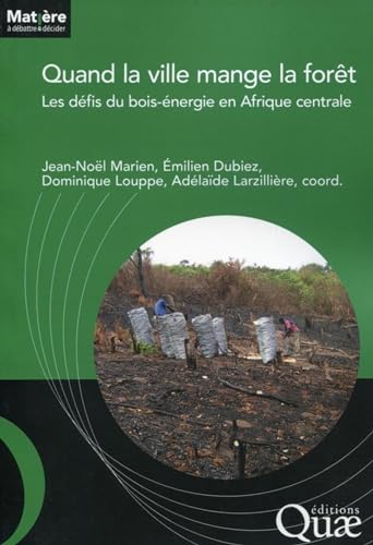 Quand la ville mange la forêt : Les défis du bois énergie en Afrique centrale