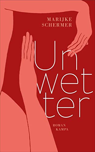 Unwetter: Roman