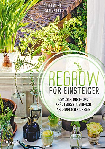 Regrow für Einsteiger: Gemüse-, Obst- und Kräuterreste einfach nachwachsen lassen.Endlose Nachzucht von Ananas, Avocado, Salat, Lauch, Süßkartoffel, Kürbis u.v.m in der Wohnung und auf dem Balkon von MVG Moderne Vlgs. Ges.