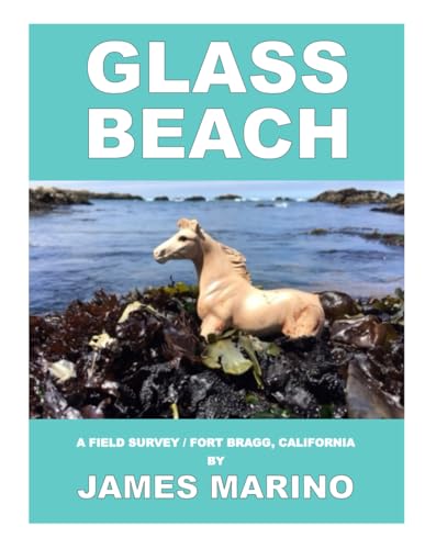 Glass Beach: A Field Survey / Fort Bragg, California von CreateSpace Independent Publishing Platform