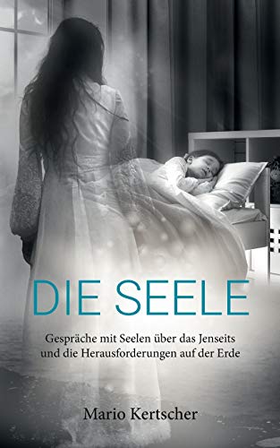 Die Seele: Gespräche mit Seelen über das Jenseits und die Herausforderungen auf der Erde