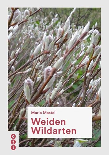 Weiden Wildarten von Ott-Verlag