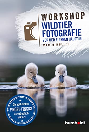 Workshop Wildtierfotografie vor der eigenen Haustür: Die geheimen Profi-Tricks verständlich erklärt.