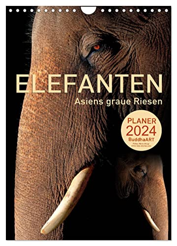 ELEFANTEN - Asiens graue Riesen (Wandkalender 2024 DIN A4 hoch), CALVENDO Monatskalender von CALVENDO