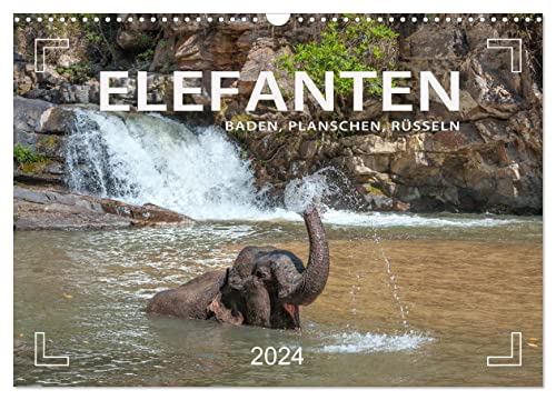 Elefanten - Baden, Planschen, Rüsseln (Wandkalender 2024 DIN A3 quer), CALVENDO Monatskalender von CALVENDO