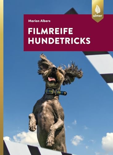 Filmreife Hundetricks: Tricktraining – nicht nur für angehende Filmhunde