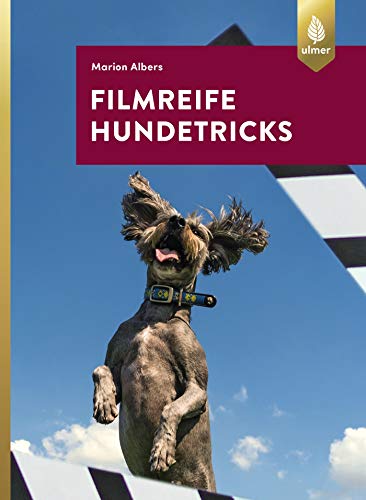 Filmreife Hundetricks: Tricktraining – nicht nur für angehende Filmhunde