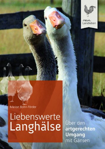 Liebenswerte Langhälse: Über den artgerechten Umgang mit Gänsen