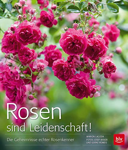 Rosen sind Leidenschaft!: Die Geheimnisse echter Rosenkenner von Gräfe und Unzer