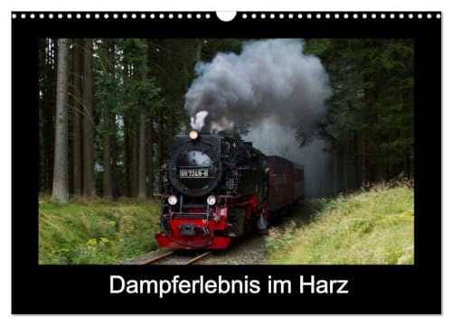 Dampferlebnis im Harz (Wandkalender 2025 DIN A3 quer), CALVENDO Monatskalender: Erleben Sie die Dampflokomotiven im Harz von CALVENDO