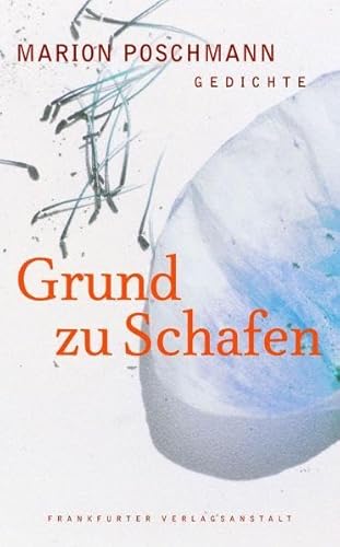 Grund zu Schafen: Gedichte