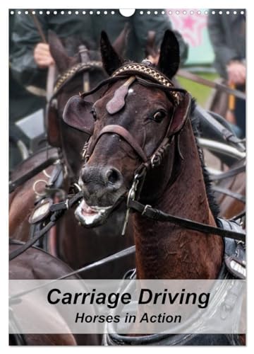Carriage Driving - Horses in Action (Wandkalender 2024 DIN A3 hoch), CALVENDO Monatskalender: Active horses in training for carriage driving sport. von CALVENDO