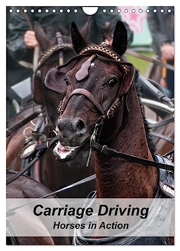 Carriage Driving - Horses in Action (Wandkalender 2024 DIN A4 hoch), CALVENDO Monatskalender