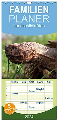 Familienplaner 2024 - Landschildkröten mit 5 Spalten (Wandkalender, 21 cm x 45 cm) CALVENDO