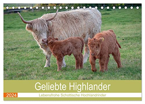 Geliebte Highlander (Tischkalender 2024 DIN A5 quer), CALVENDO Monatskalender von CALVENDO